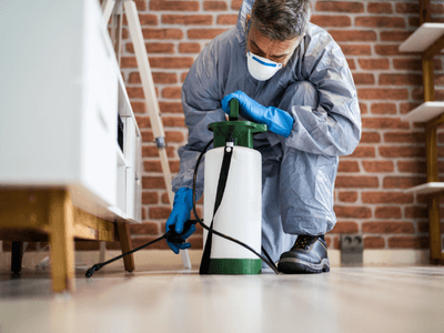About Quarterly Pest Control Jarratt - quarterly pest control experts in Jarratt