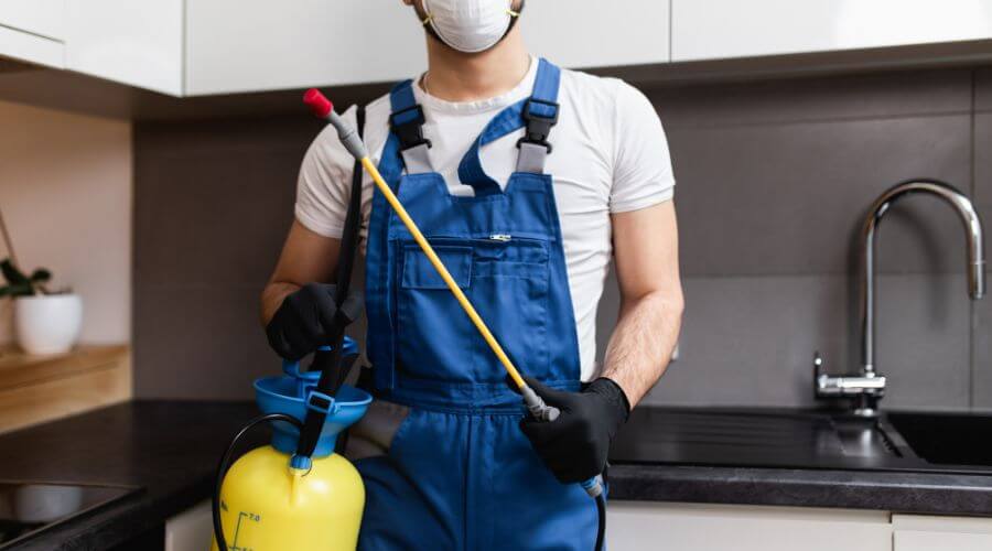 Why choose Quarterly Pest Control Jarratt for quarterly pest control in Jarratt